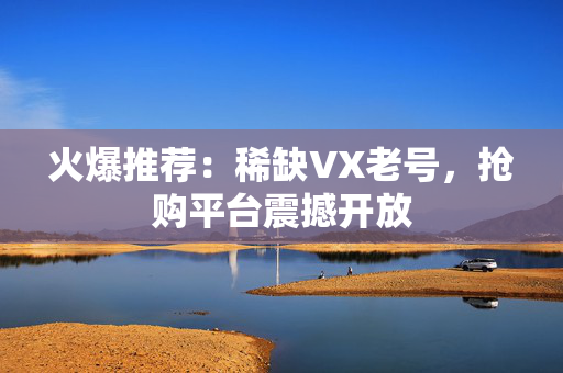 火爆推荐：稀缺VX老号，抢购平台震撼开放
