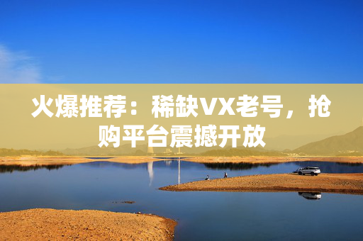 火爆推荐：稀缺VX老号，抢购平台震撼开放