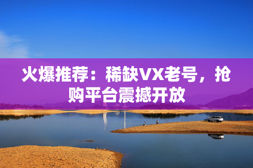 火爆推荐：稀缺VX老号，抢购平台震撼开放