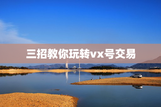 三招教你玩转vx号交易
